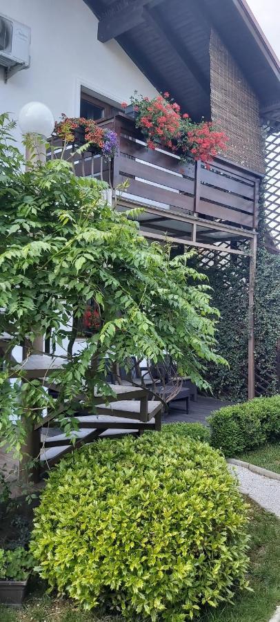 فندق Alexander House ديفا المظهر الخارجي الصورة