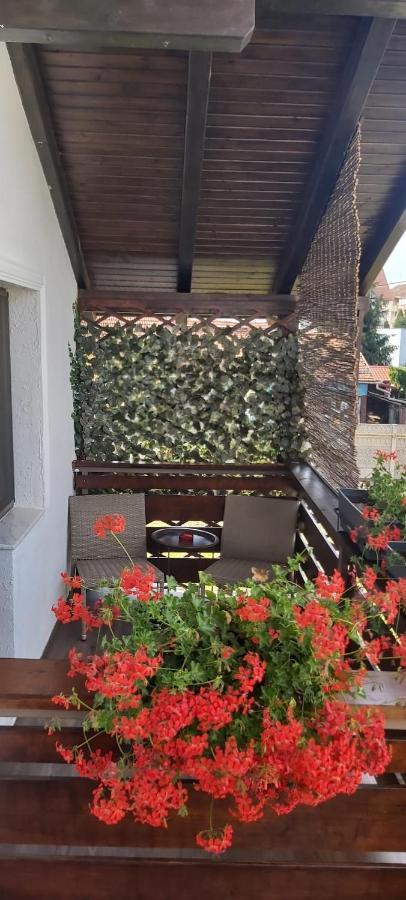 فندق Alexander House ديفا المظهر الخارجي الصورة